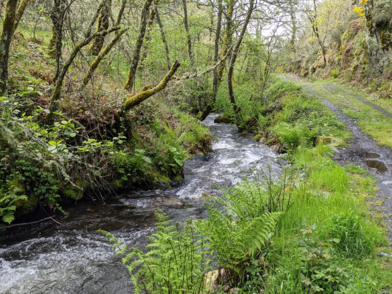 Detalle del valle de Bubín