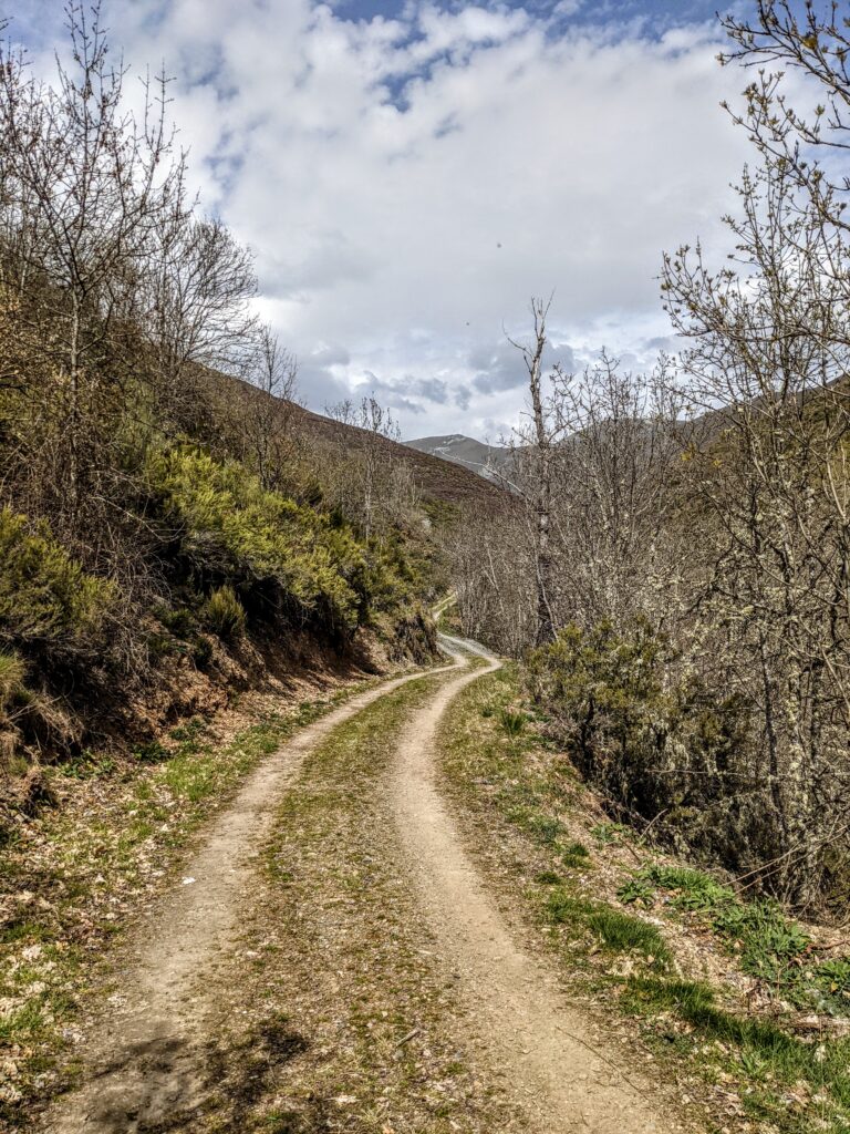 Pradera junto al río Bubín