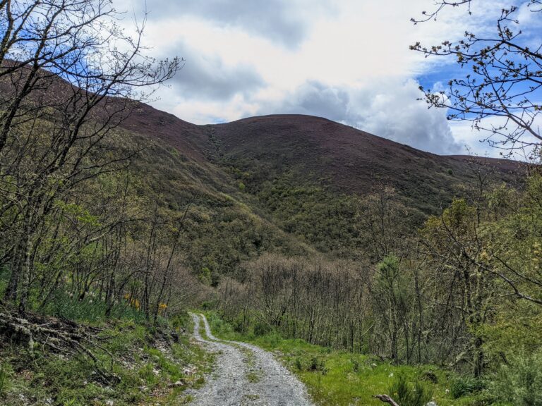 Detalle del valle de Bubín
