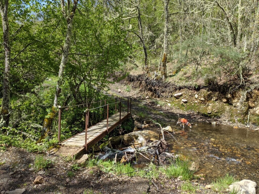 Ruta a la Caseta de Arriba (Igüeña) · Igüeña, El Bierzo