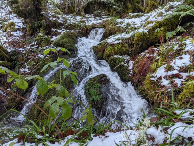 Detalle del valle de Bubín