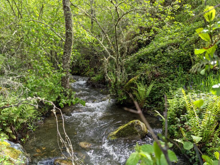 Sendero hacia la caseta